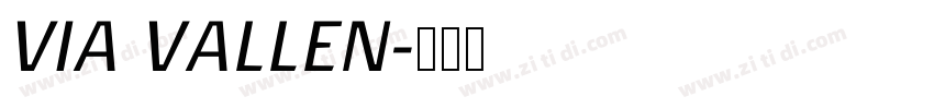 VIA VALLEN字体转换